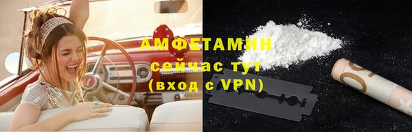 шишки Богородицк