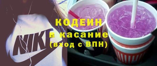 шишки Богородицк