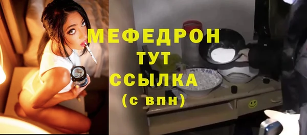 стаф Богородск