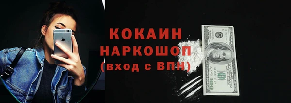 шишки Богородицк
