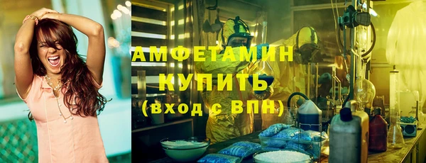 шишки Богородицк