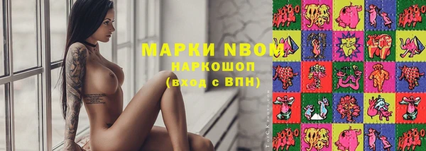 шишки Богородицк