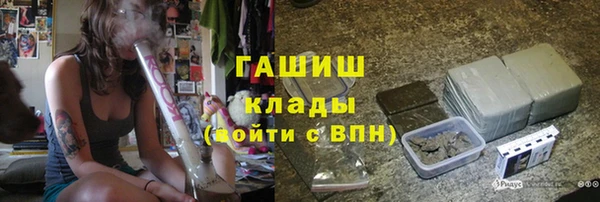 шишки Богородицк