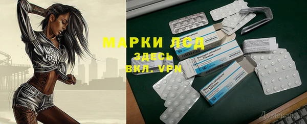 стаф Богородск