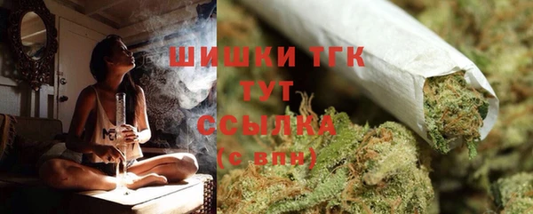 стаф Богородск