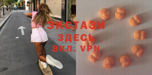 шишки Богородицк