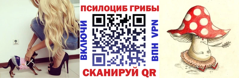 Псилоцибиновые грибы Psilocybe  продажа наркотиков  Дубовка 